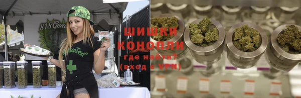 сатива Абинск