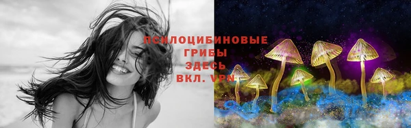 мяу мяу мука Абдулино