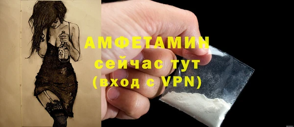 сатива Абинск