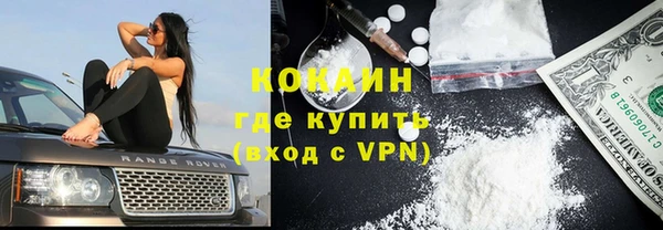 сатива Абинск